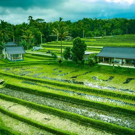 Kubu D'Ume Homestay Desa Desa Jatiluwih Exteriör bild