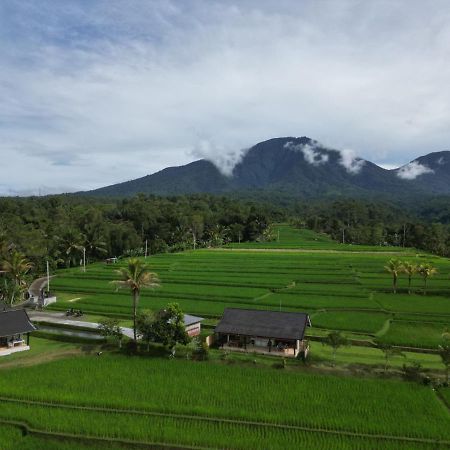 Kubu D'Ume Homestay Desa Desa Jatiluwih Exteriör bild