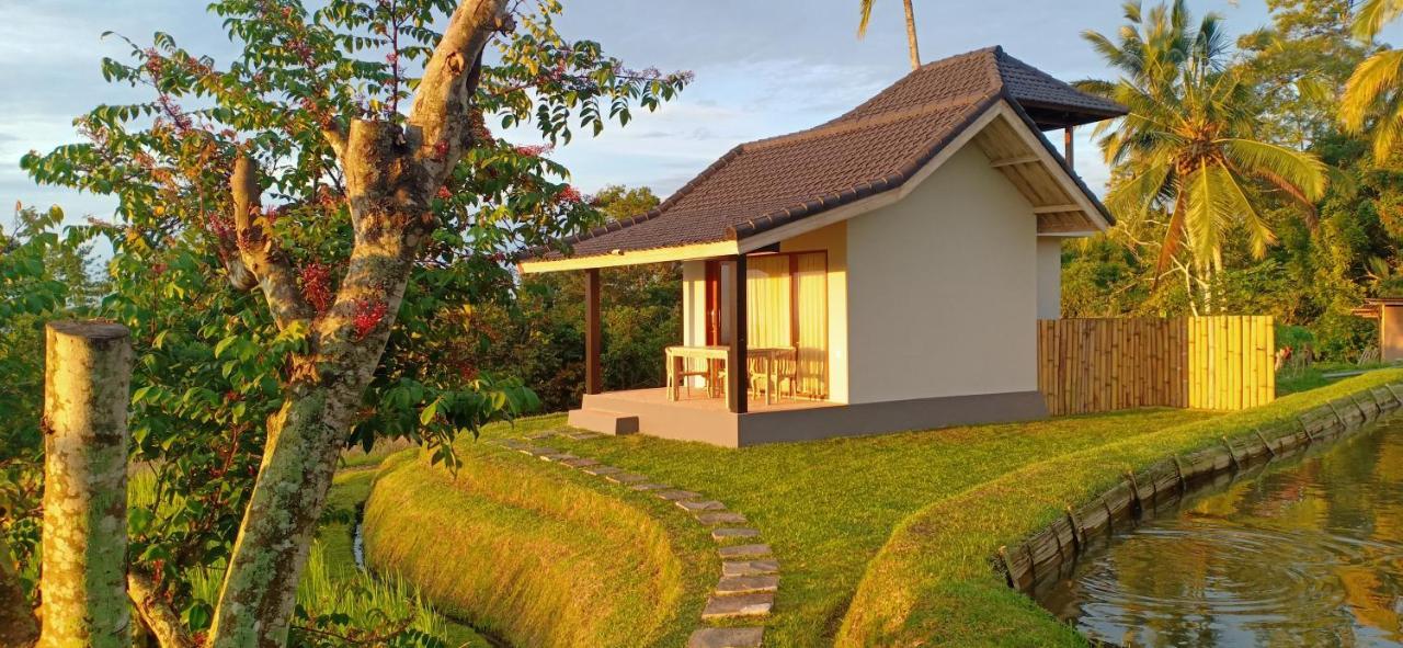 Kubu D'Ume Homestay Desa Desa Jatiluwih Exteriör bild