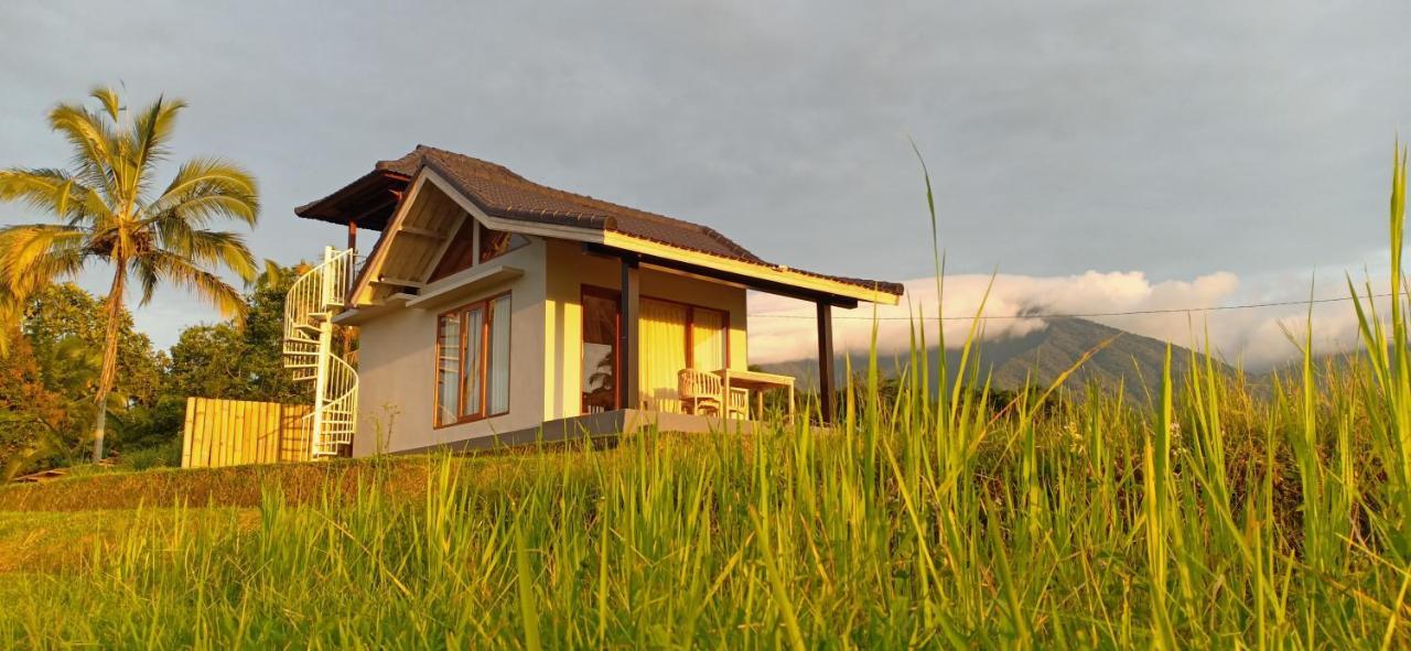 Kubu D'Ume Homestay Desa Desa Jatiluwih Exteriör bild