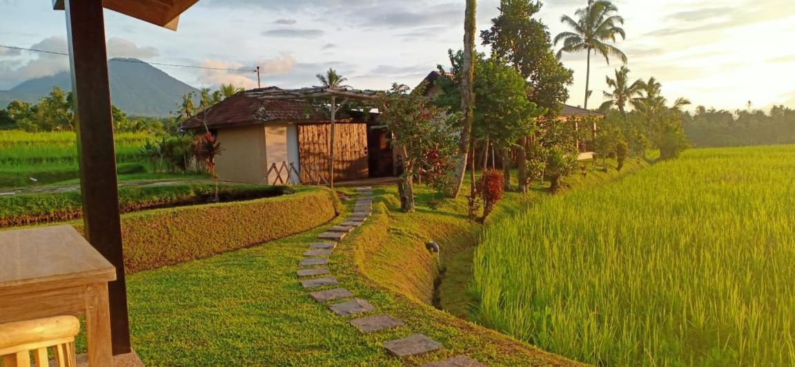 Kubu D'Ume Homestay Desa Desa Jatiluwih Exteriör bild