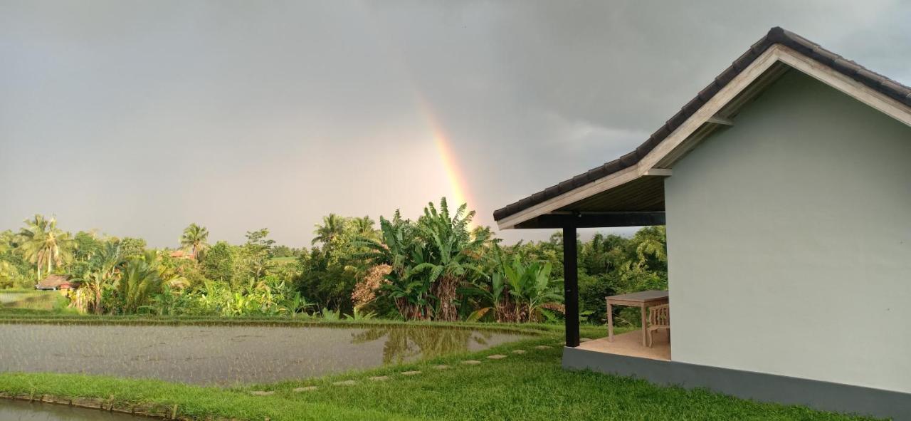 Kubu D'Ume Homestay Desa Desa Jatiluwih Exteriör bild