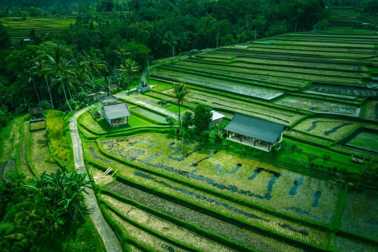 Kubu D'Ume Homestay Desa Desa Jatiluwih Exteriör bild