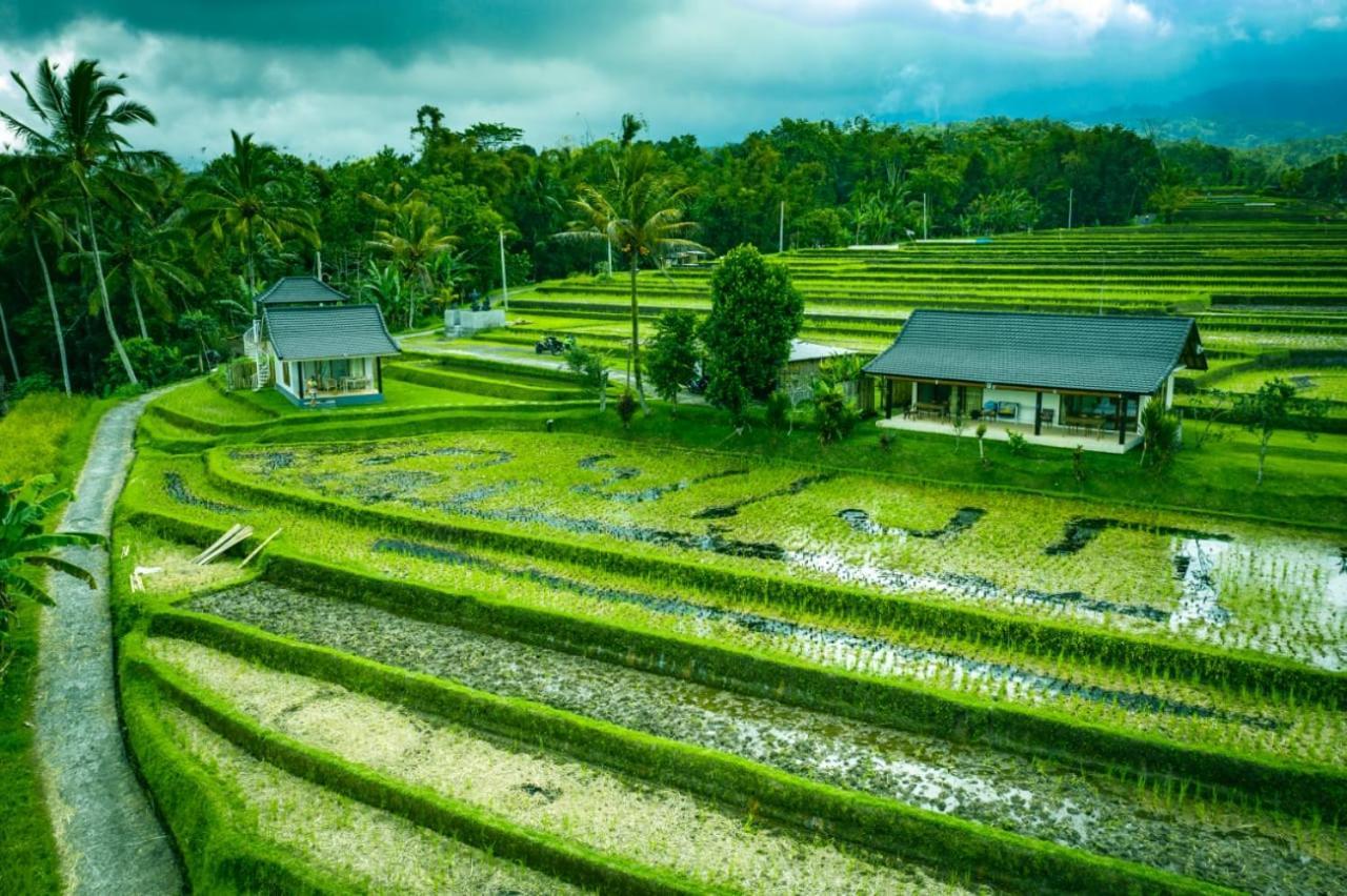 Kubu D'Ume Homestay Desa Desa Jatiluwih Exteriör bild