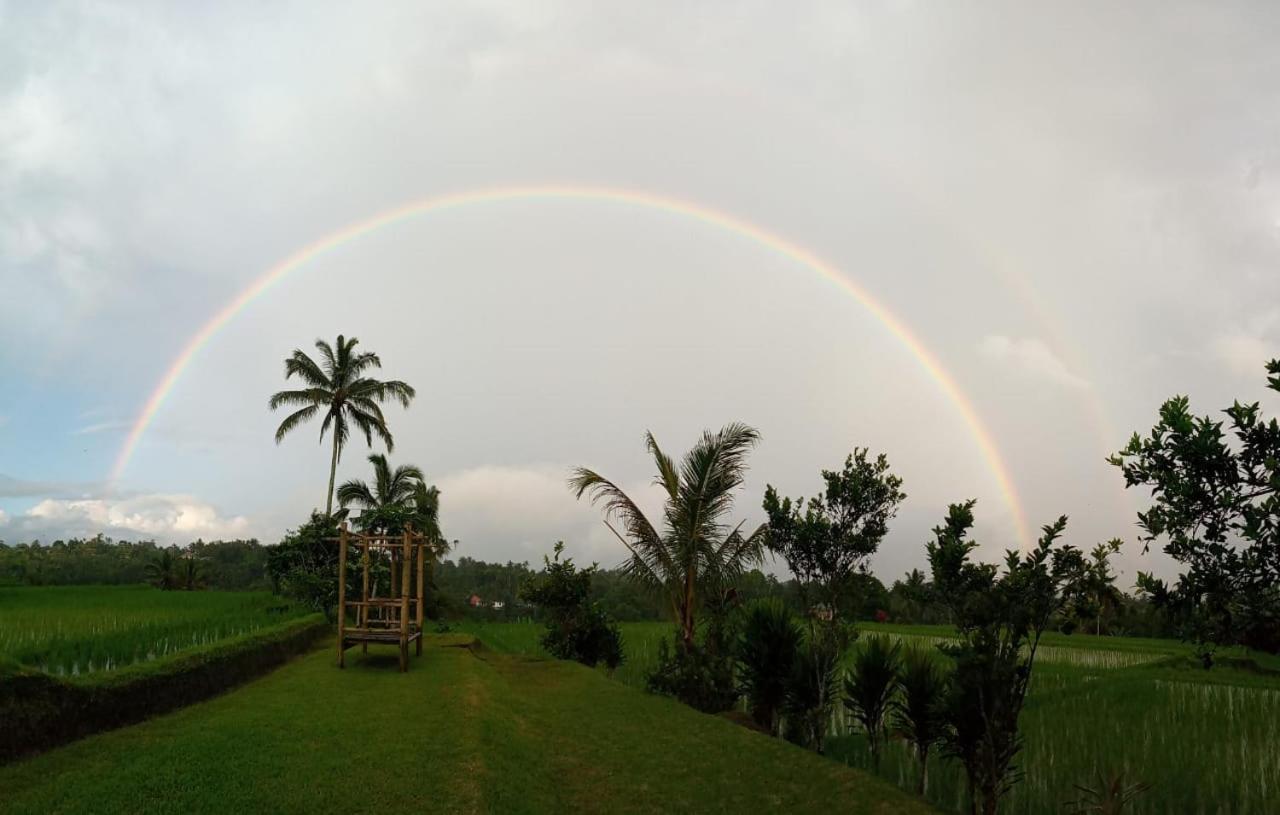 Kubu D'Ume Homestay Desa Desa Jatiluwih Exteriör bild