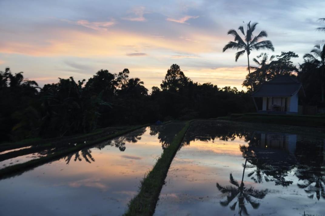 Kubu D'Ume Homestay Desa Desa Jatiluwih Exteriör bild