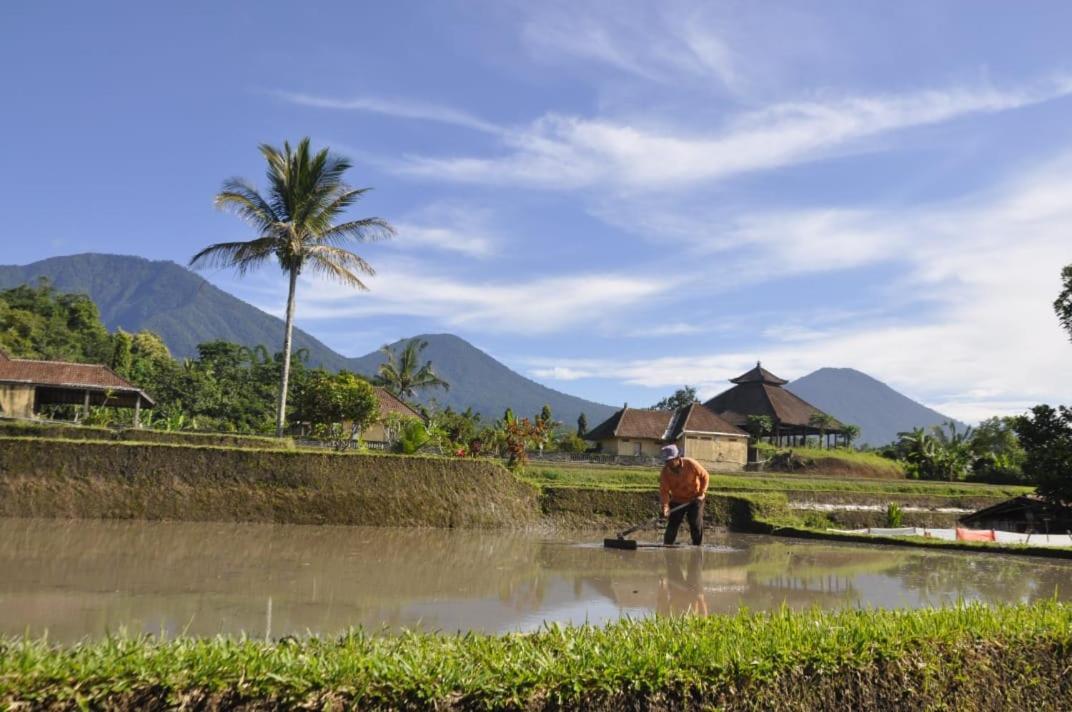 Kubu D'Ume Homestay Desa Desa Jatiluwih Exteriör bild