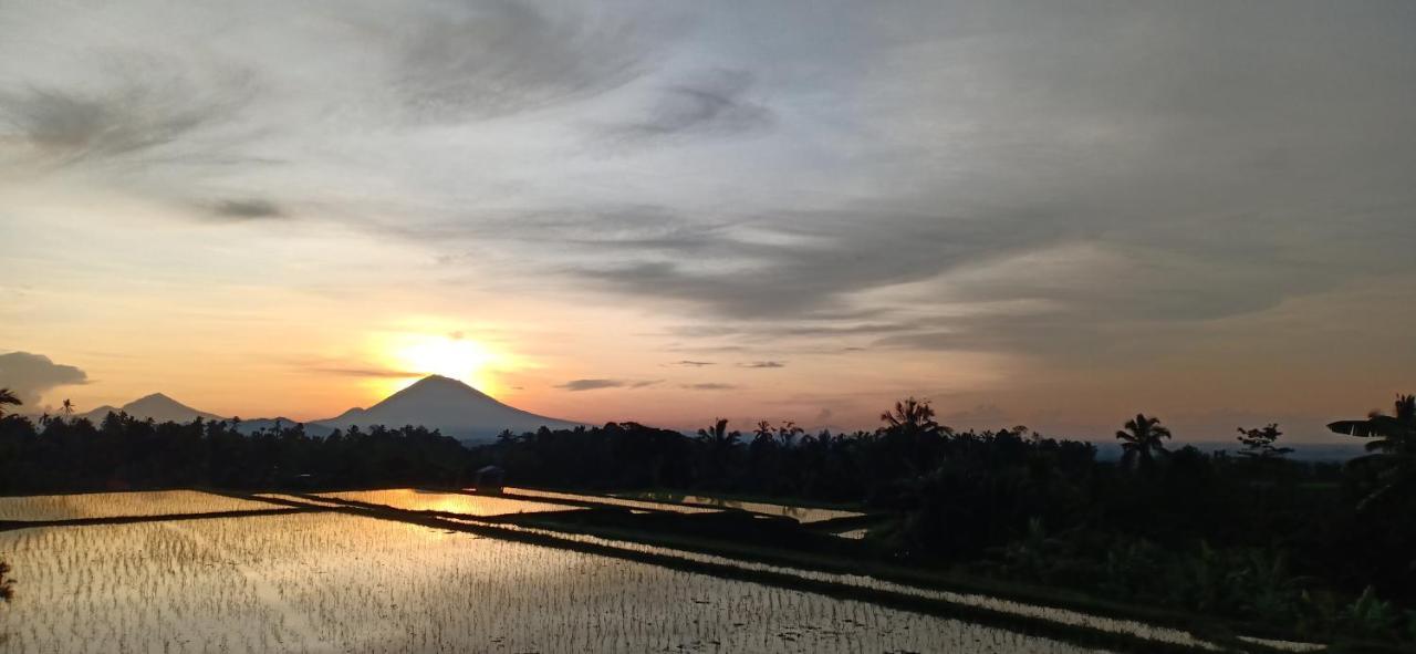 Kubu D'Ume Homestay Desa Desa Jatiluwih Exteriör bild