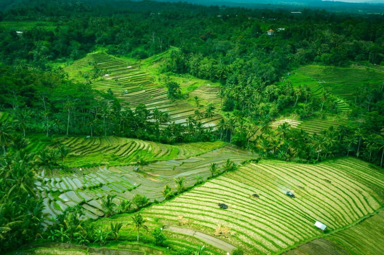 Kubu D'Ume Homestay Desa Desa Jatiluwih Exteriör bild