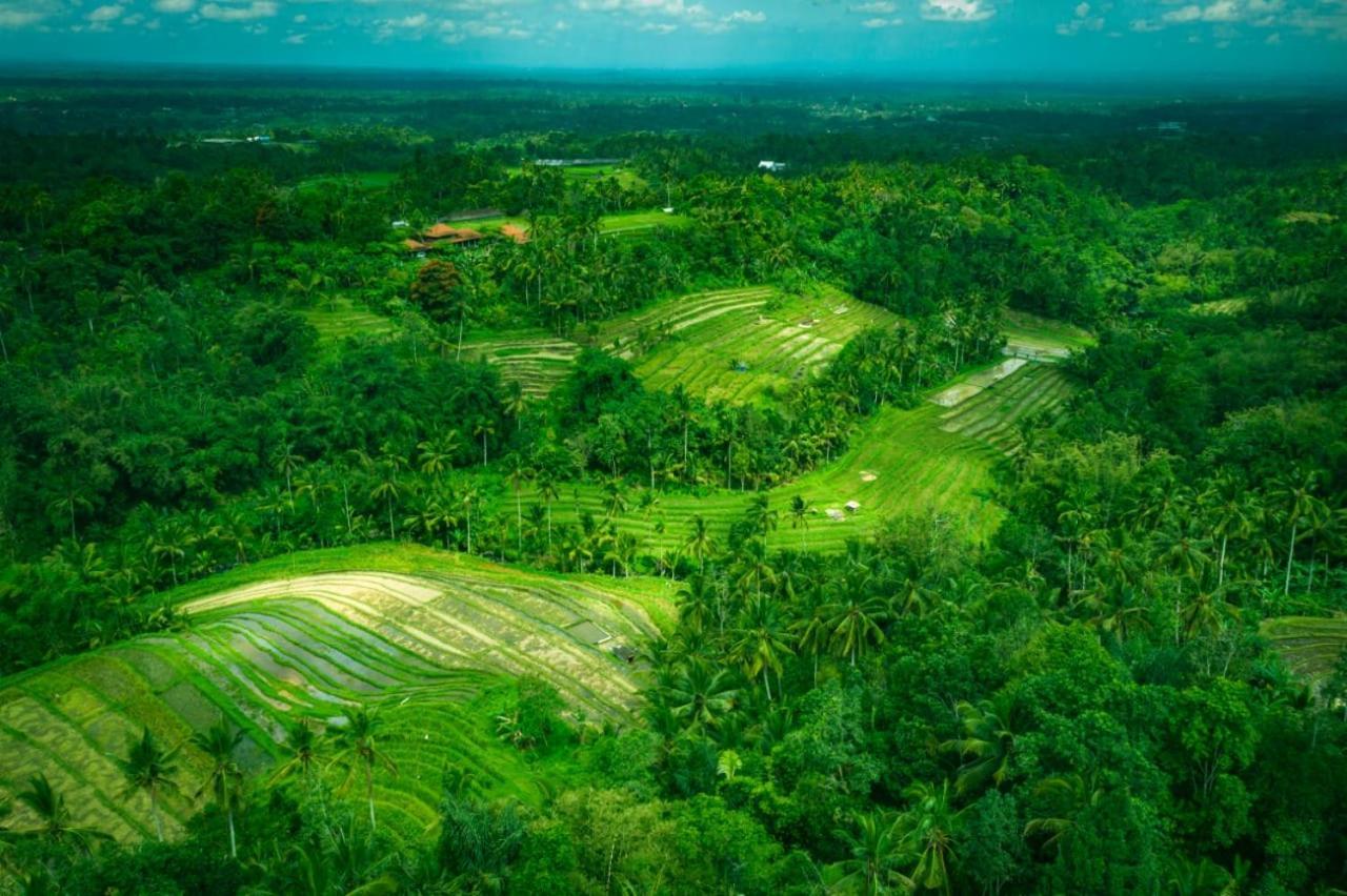 Kubu D'Ume Homestay Desa Desa Jatiluwih Exteriör bild