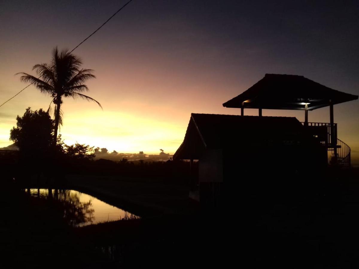 Kubu D'Ume Homestay Desa Desa Jatiluwih Exteriör bild