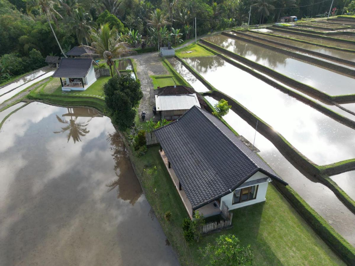 Kubu D'Ume Homestay Desa Desa Jatiluwih Exteriör bild