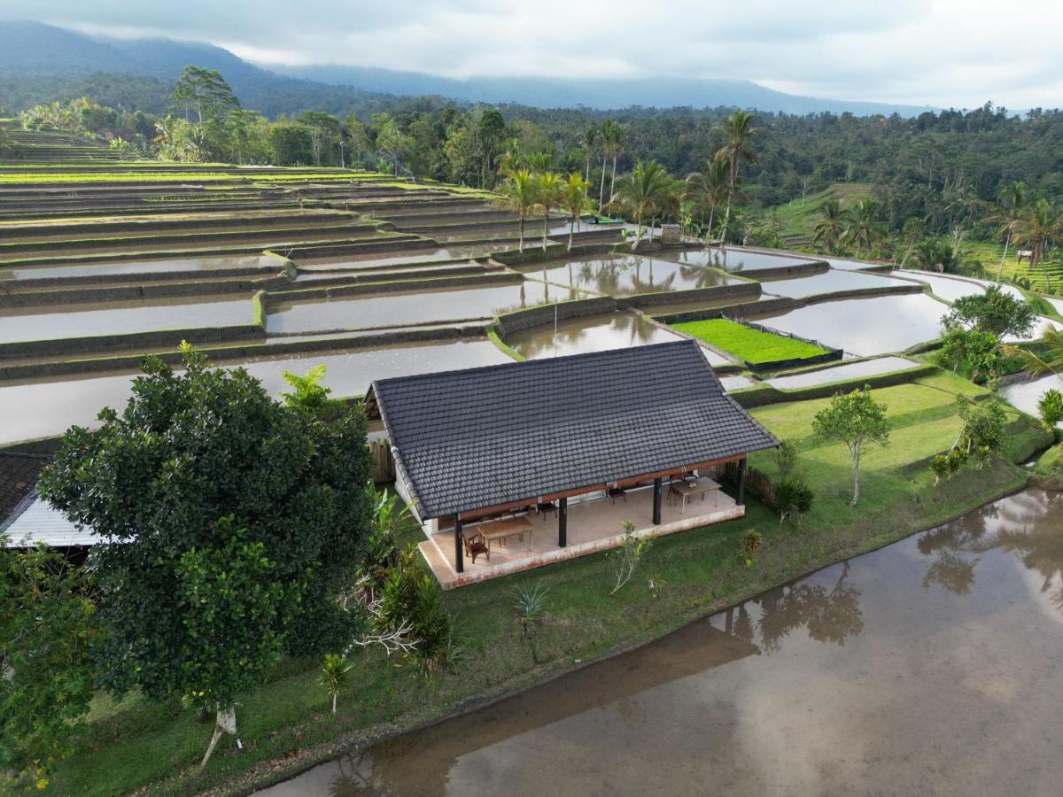 Kubu D'Ume Homestay Desa Desa Jatiluwih Exteriör bild