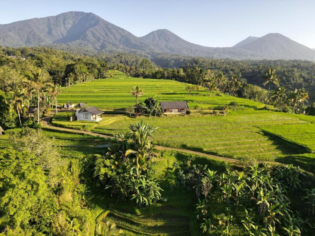 Kubu D'Ume Homestay Desa Desa Jatiluwih Exteriör bild