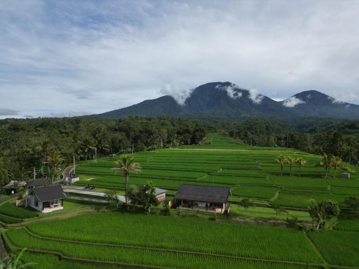 Kubu D'Ume Homestay Desa Desa Jatiluwih Exteriör bild