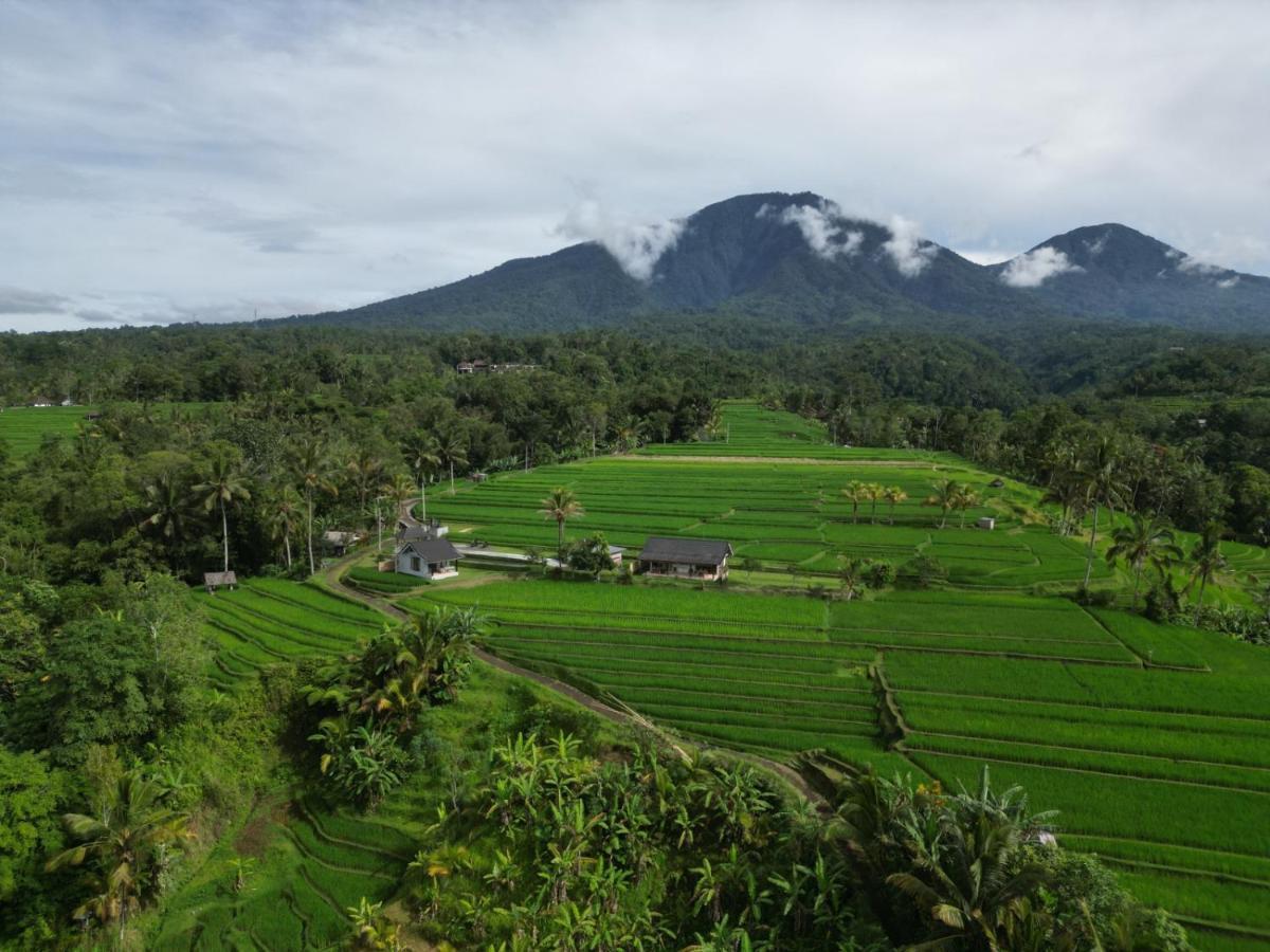 Kubu D'Ume Homestay Desa Desa Jatiluwih Exteriör bild