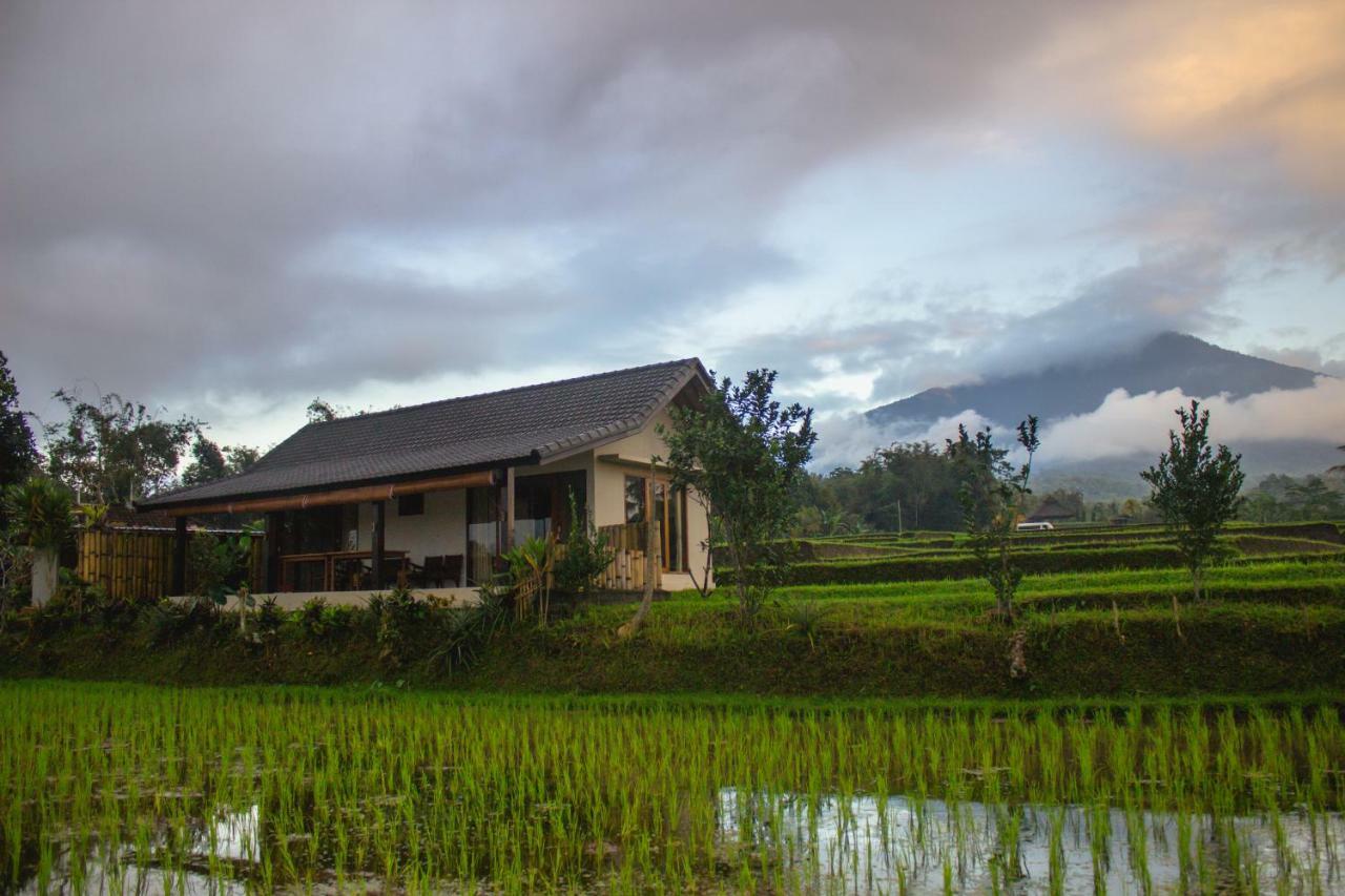 Kubu D'Ume Homestay Desa Desa Jatiluwih Exteriör bild
