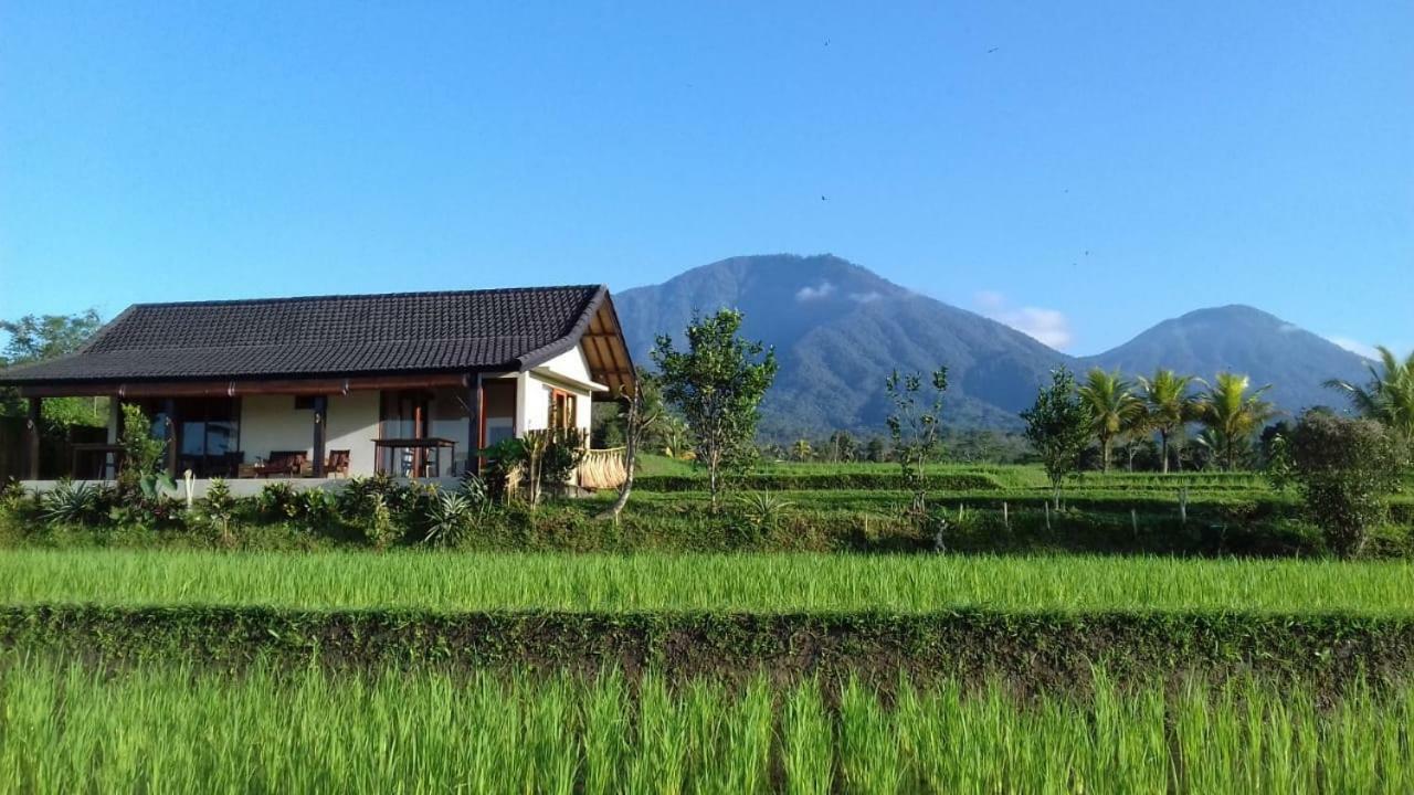 Kubu D'Ume Homestay Desa Desa Jatiluwih Exteriör bild