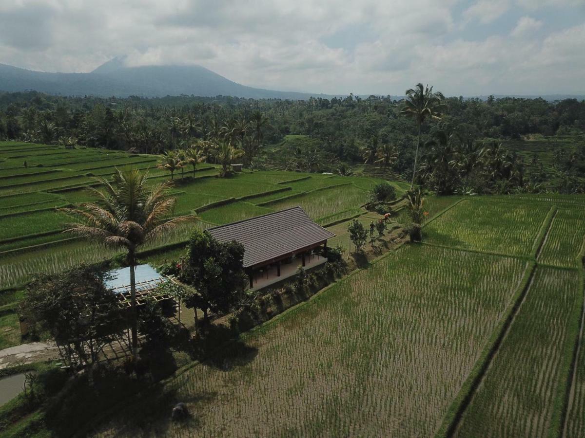 Kubu D'Ume Homestay Desa Desa Jatiluwih Exteriör bild