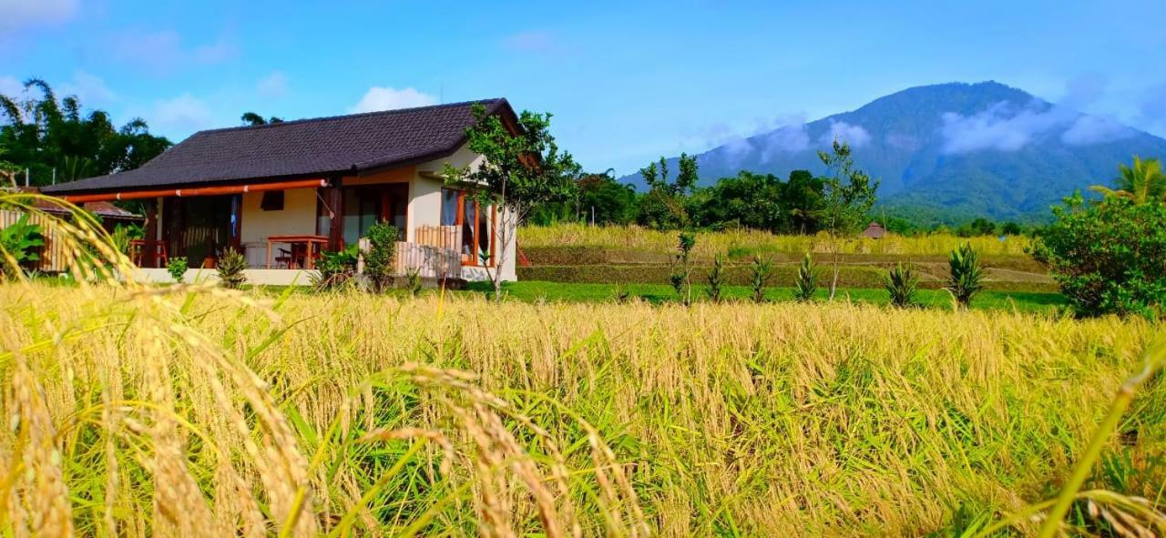 Kubu D'Ume Homestay Desa Desa Jatiluwih Exteriör bild