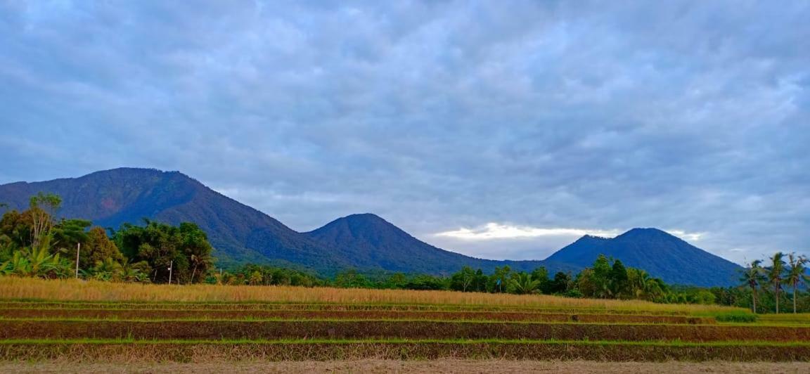 Kubu D'Ume Homestay Desa Desa Jatiluwih Exteriör bild