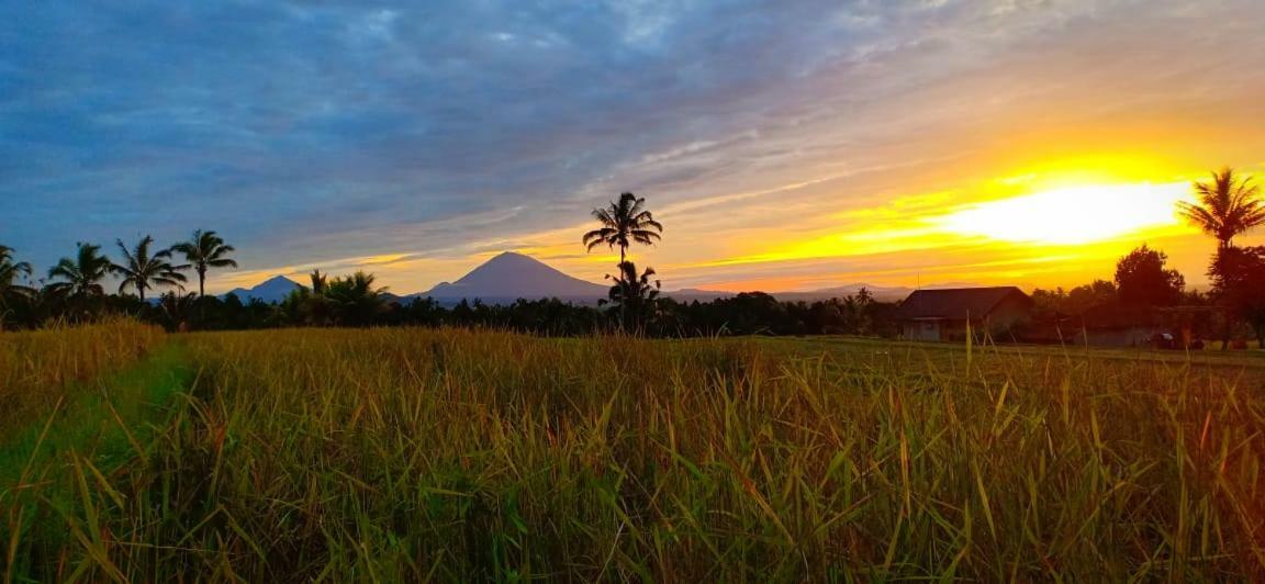 Kubu D'Ume Homestay Desa Desa Jatiluwih Exteriör bild