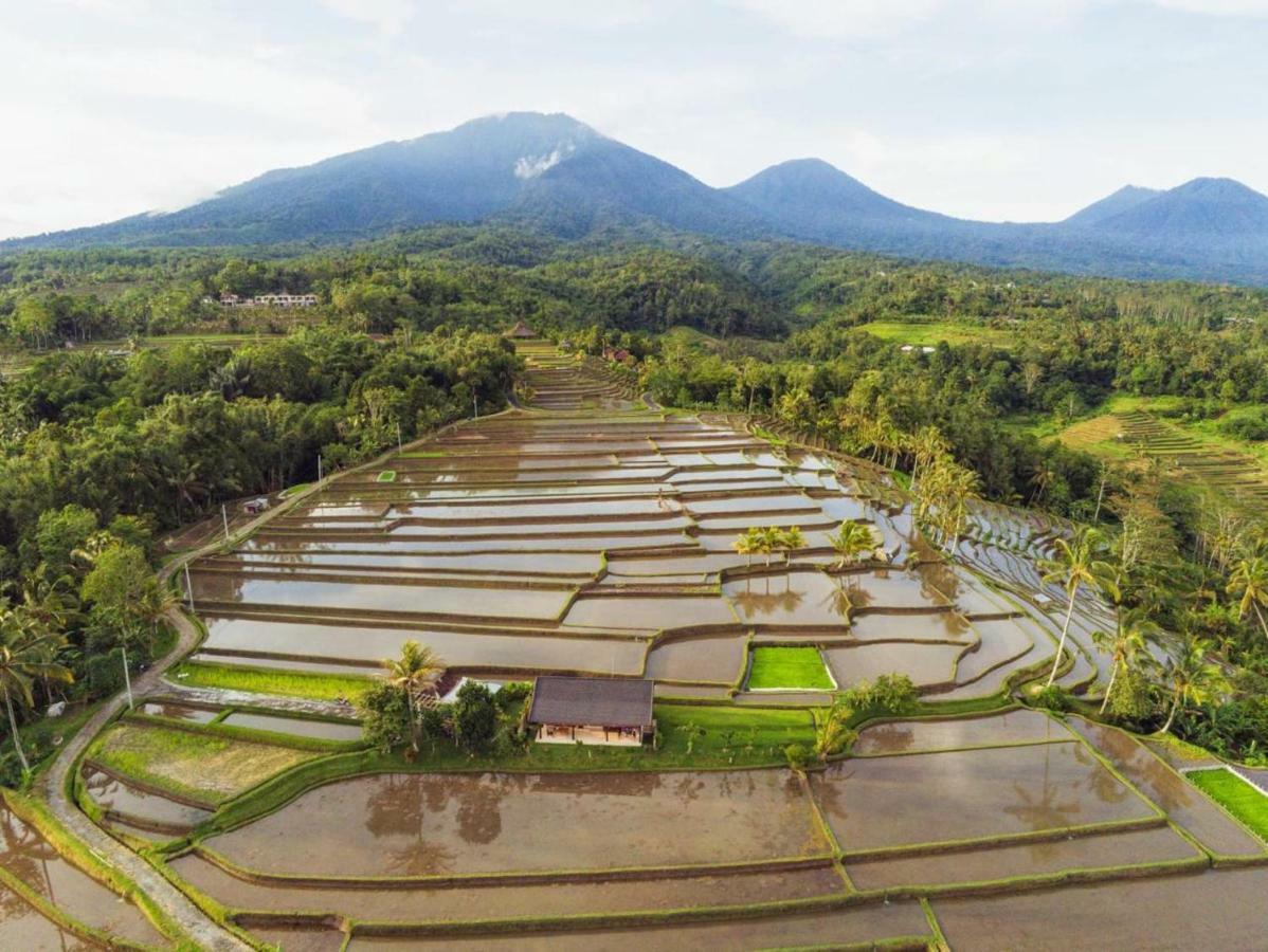 Kubu D'Ume Homestay Desa Desa Jatiluwih Exteriör bild