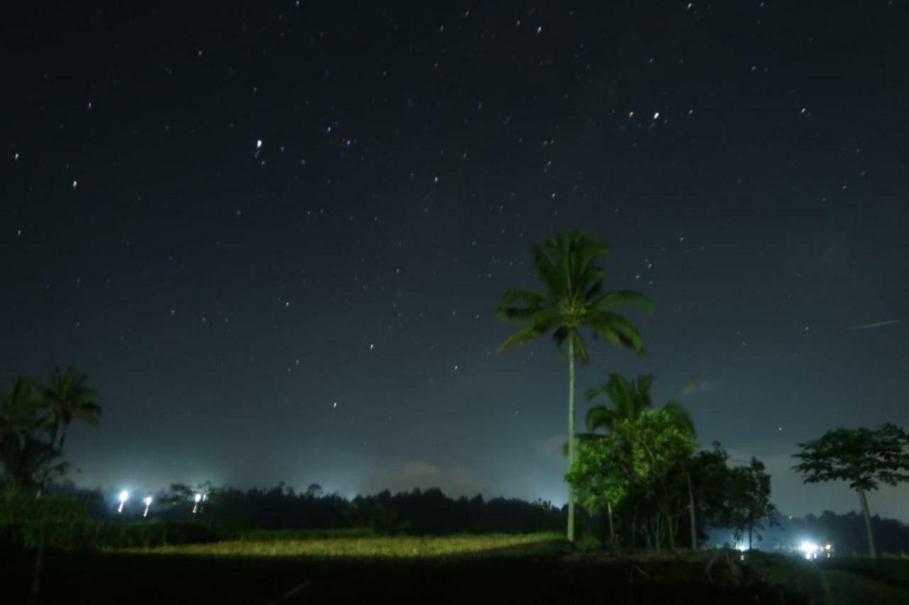 Kubu D'Ume Homestay Desa Desa Jatiluwih Exteriör bild