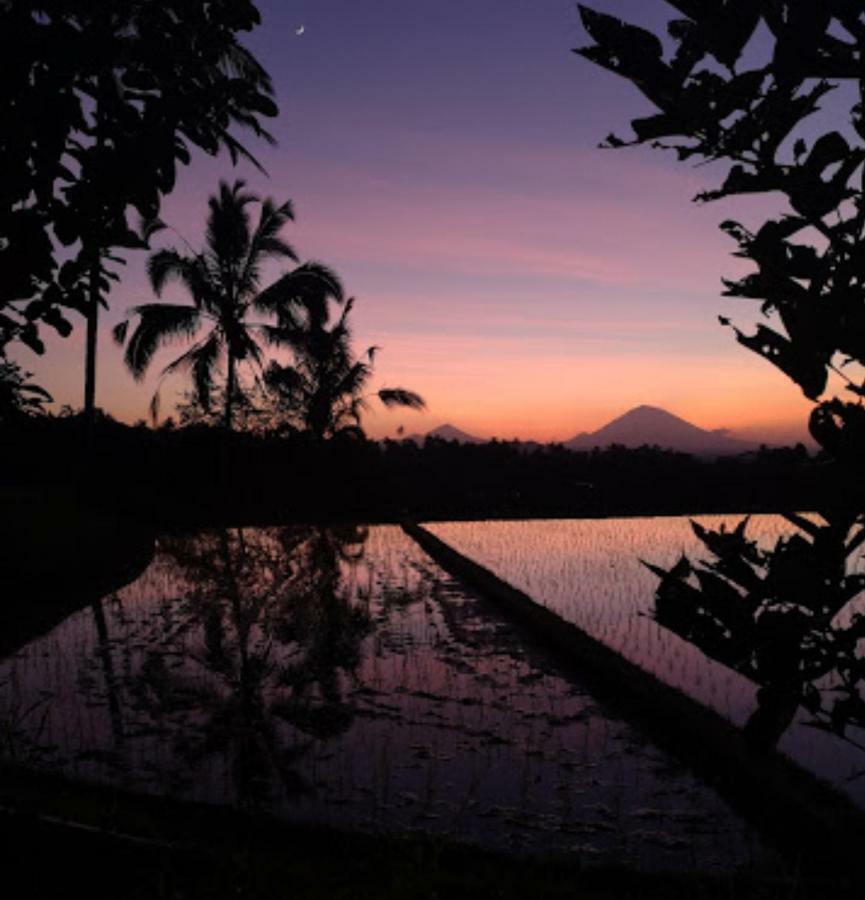 Kubu D'Ume Homestay Desa Desa Jatiluwih Exteriör bild