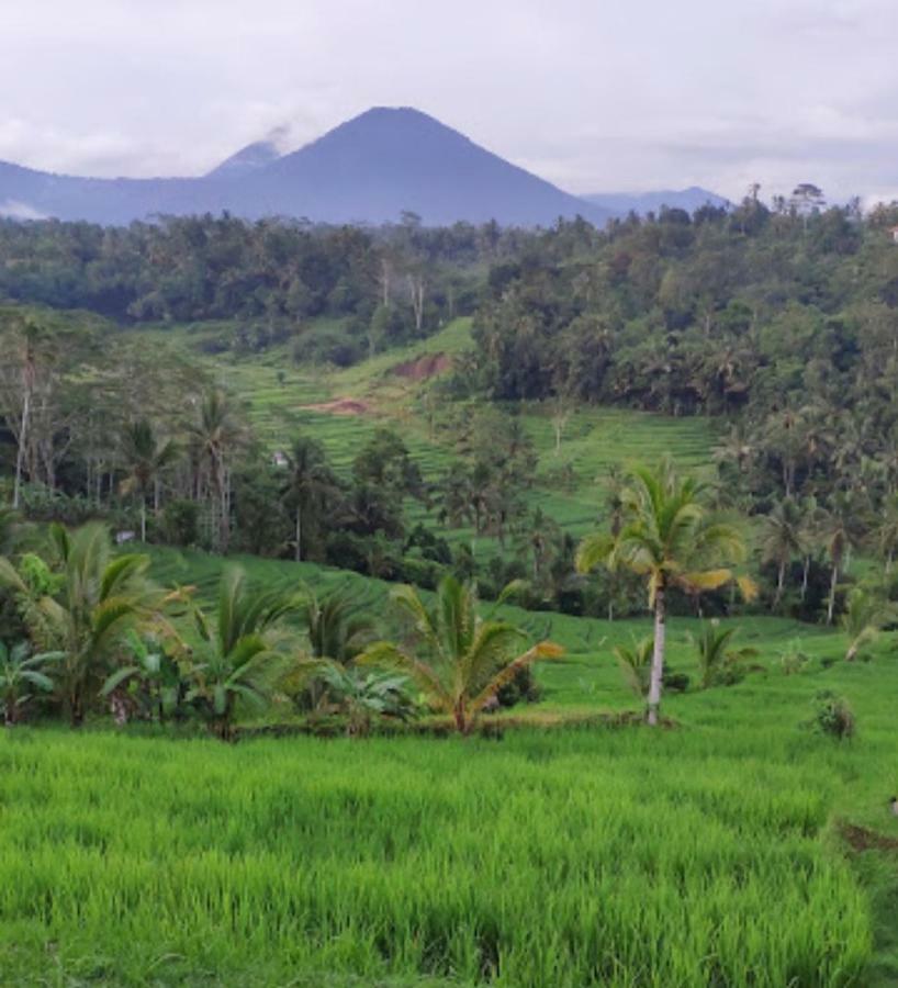 Kubu D'Ume Homestay Desa Desa Jatiluwih Exteriör bild