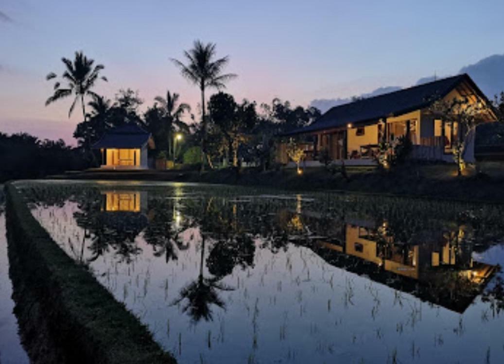 Kubu D'Ume Homestay Desa Desa Jatiluwih Exteriör bild