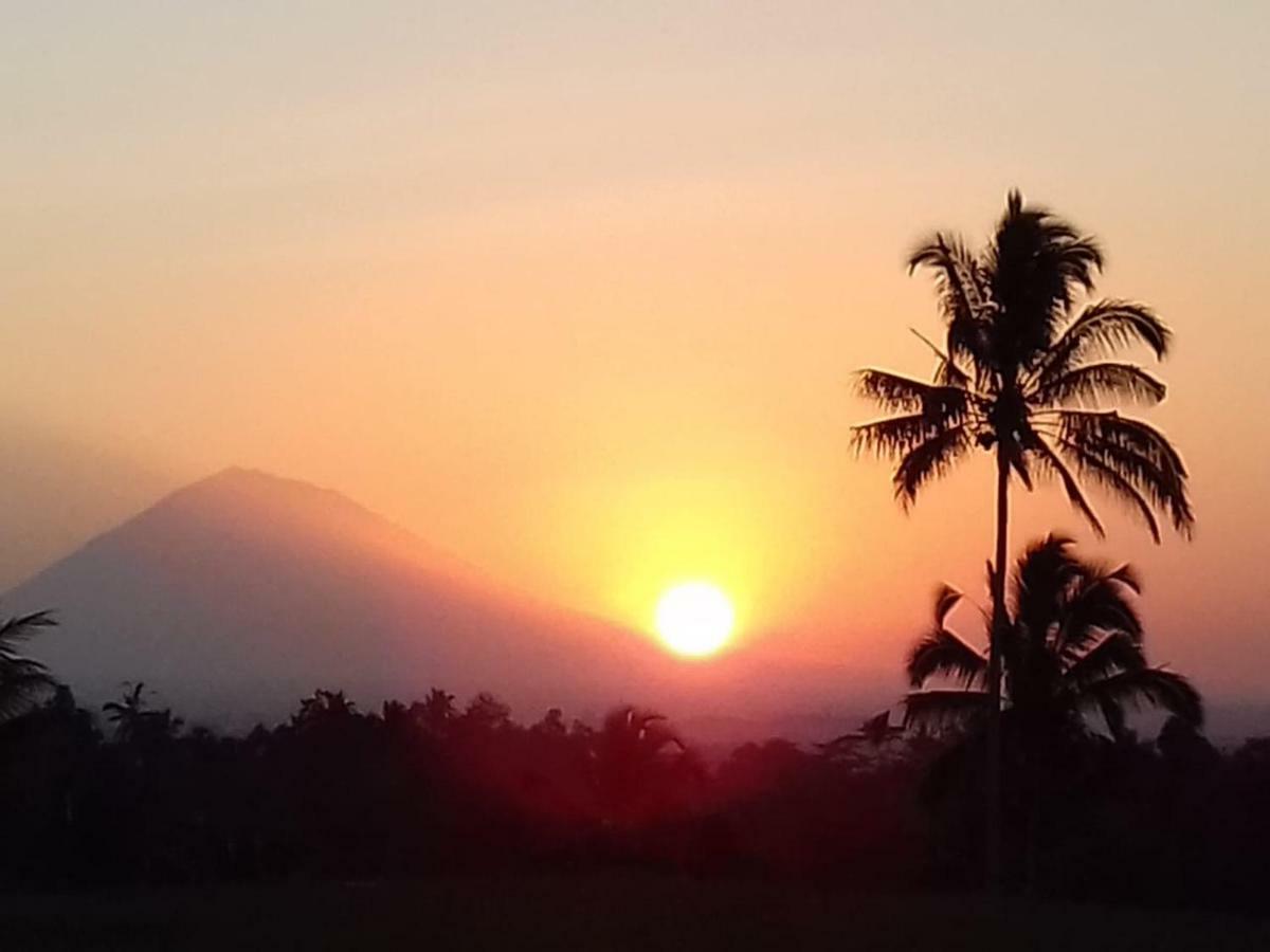 Kubu D'Ume Homestay Desa Desa Jatiluwih Exteriör bild