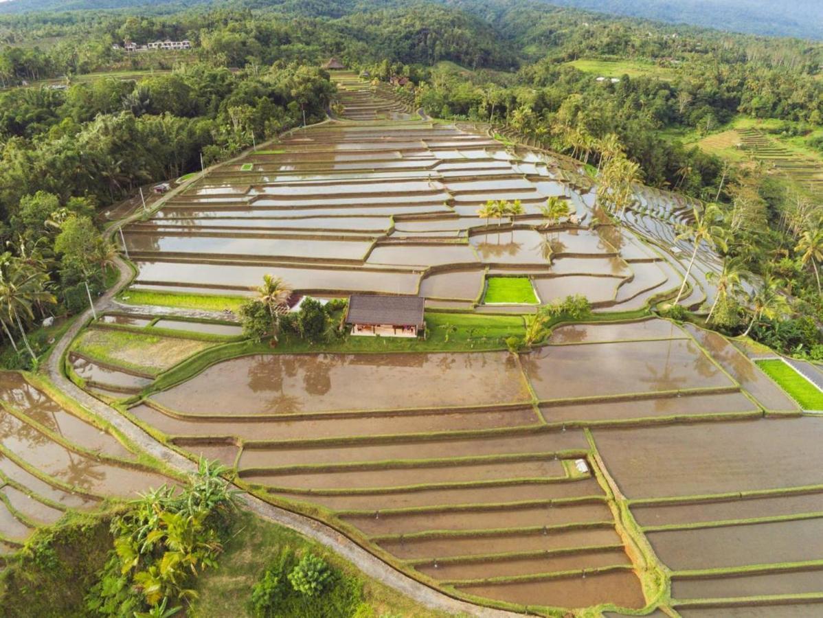Kubu D'Ume Homestay Desa Desa Jatiluwih Exteriör bild