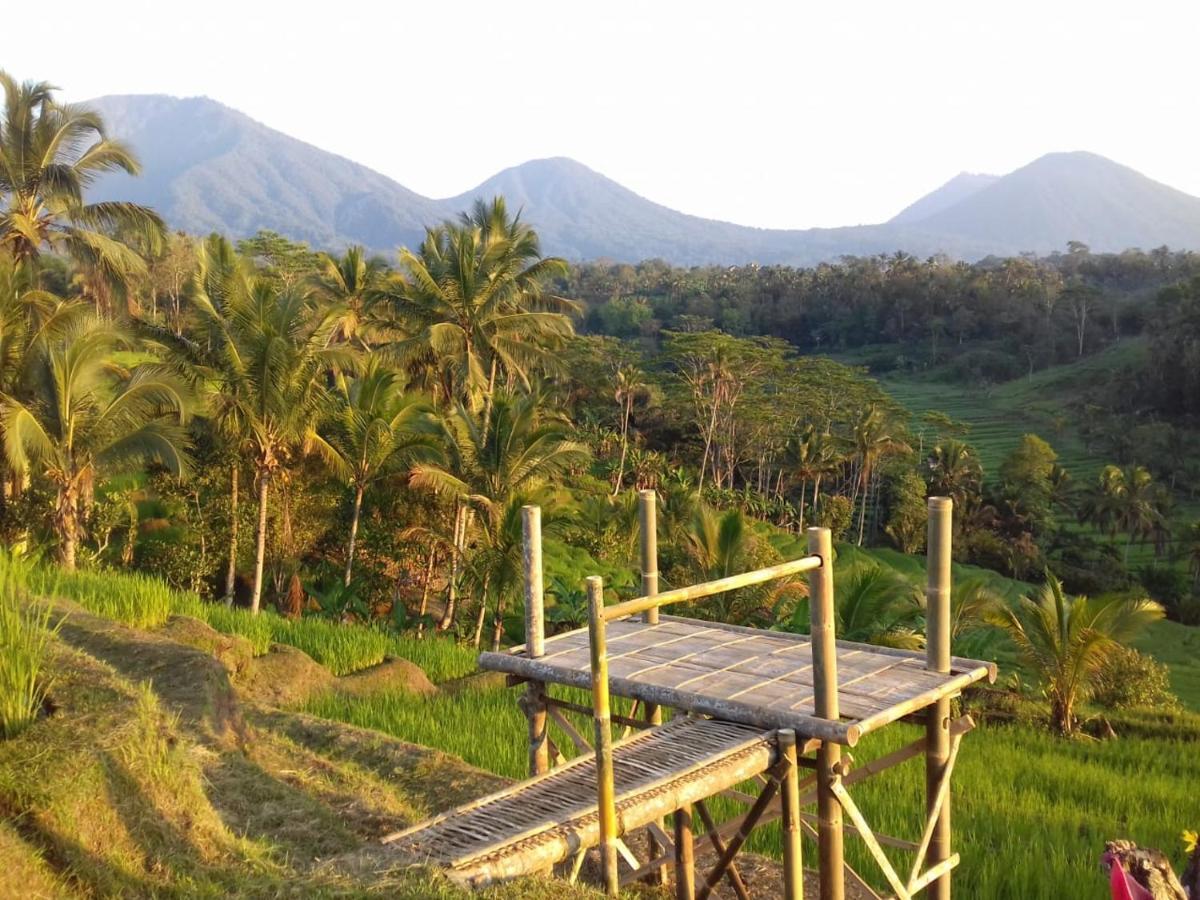 Kubu D'Ume Homestay Desa Desa Jatiluwih Exteriör bild