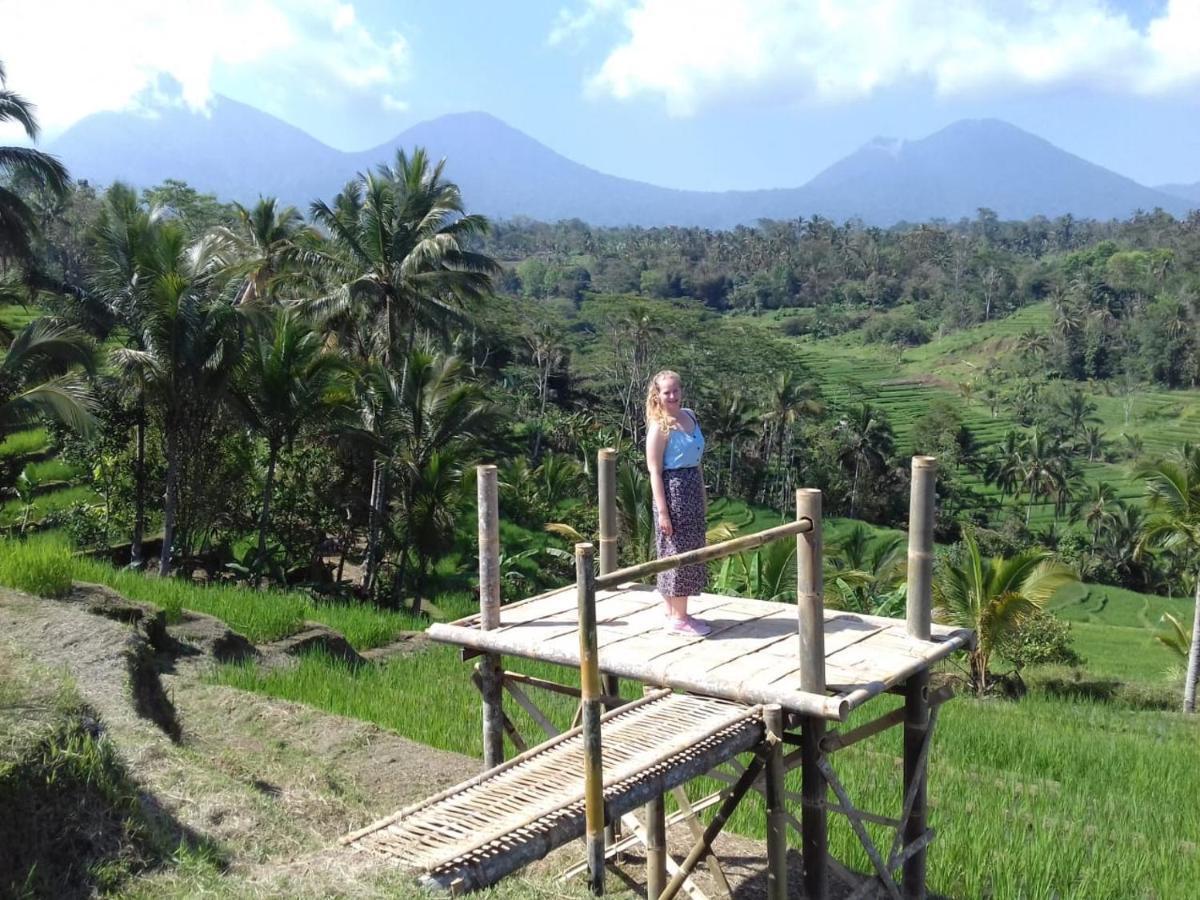 Kubu D'Ume Homestay Desa Desa Jatiluwih Exteriör bild